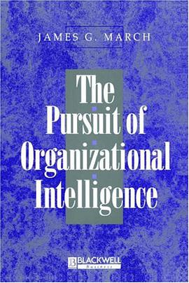 The Pursuit of Organizational Intelligence pdf epub mobi 电子书 下载