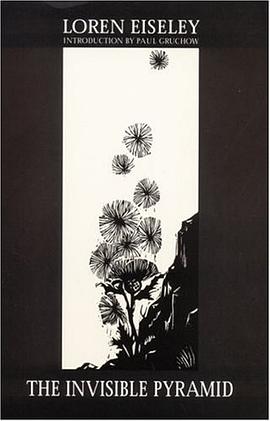 The Invisible Pyramid pdf epub mobi 電子書 下載