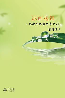 冰河起舞 pdf epub mobi 电子书 下载