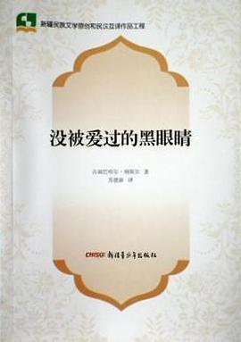没被爱过的黑眼睛 pdf epub mobi 下载
