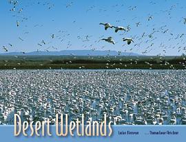 Desert Wetlands pdf epub mobi 电子书 下载