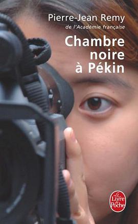 Chambre noire à Pékin pdf epub mobi 下载