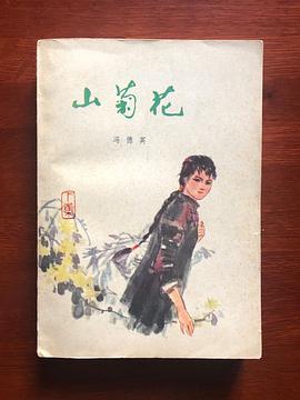山菊花 三十二集大型革命历史题材 十碟装(DVD) pdf epub mobi 电子书 下载