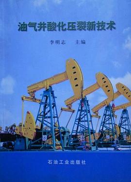油气井酸化压裂新技术 pdf epub mobi 电子书 下载