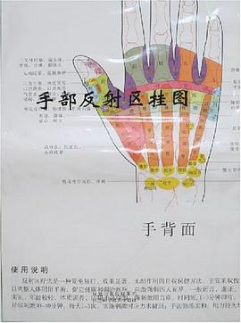手部反射区挂图 pdf epub mobi 电子书 下载