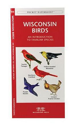 Wisconsin Birds pdf epub mobi 电子书 下载