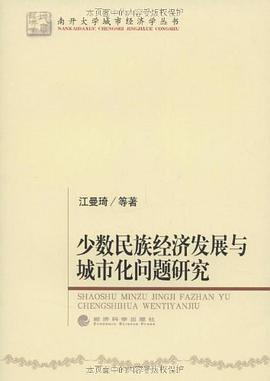 少数民族经济发展与城市化问题研究 pdf epub mobi 电子书 下载
