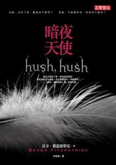 暗夜天使 pdf epub mobi 电子书 下载