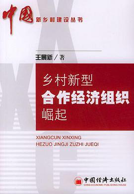 乡村新型合作经济组织崛起 pdf epub mobi 电子书 下载