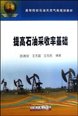 提高石油采收率基础 pdf epub mobi 电子书 下载