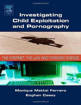 Investigating Child Exploitation and Pornography pdf epub mobi 电子书 下载