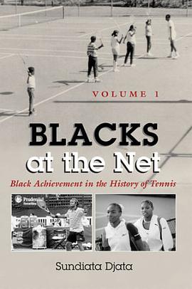 Blacks at the Net pdf epub mobi 电子书 下载