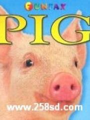 Fold-Out Board Books: Pig pdf epub mobi 电子书 下载