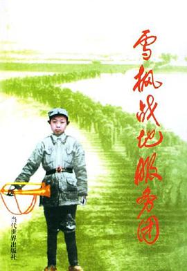 雪枫战地服务团 pdf epub mobi 电子书 下载