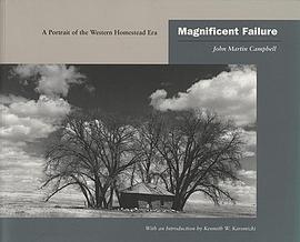 Magnificent Failure pdf epub mobi 电子书 下载