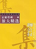 玄秘塔碑放大精選 pdf epub mobi 電子書 下載