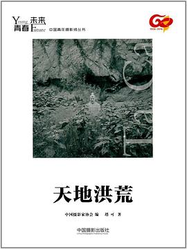 天地洪荒 pdf epub mobi 電子書 下載