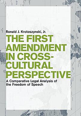 The First Amendment in Cross-Cultural Perspective pdf epub mobi 电子书 下载