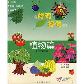拼音好词好句读本 pdf epub mobi 电子书 下载