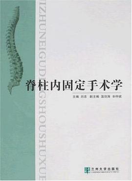 脊柱内固定手术学 pdf epub mobi 电子书 下载