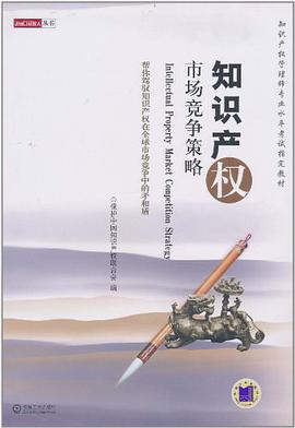 知识产权市场竞争策略 pdf epub mobi 电子书 下载