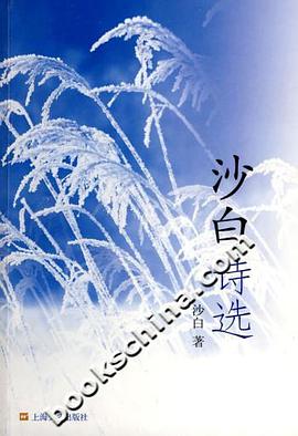 沙白诗选 pdf epub mobi 电子书 下载