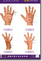 手針 pdf epub mobi 電子書 下載