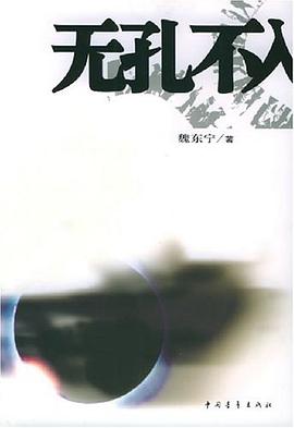 无孔不入 pdf epub mobi 电子书 下载