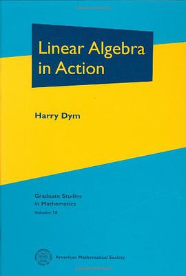 Linear Algebra in Action pdf epub mobi 电子书 下载