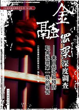 金融罪案深度调查 pdf epub mobi 电子书 下载