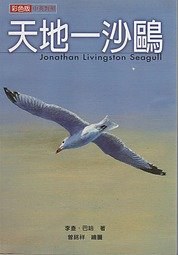 天地一沙鷗 pdf epub mobi 電子書 下載