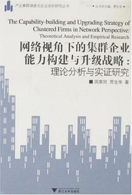 网络视角下的集群企业能力构建与升级战略 pdf epub mobi 下载