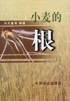 小麦的根 pdf epub mobi 电子书 下载