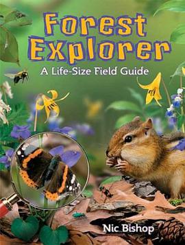 Forest Explorer