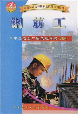 钢筋工 pdf epub mobi 电子书 下载