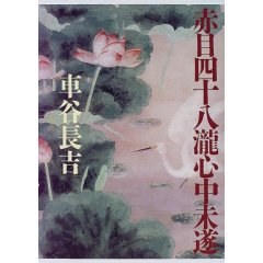赤目四十八瀧心中未遂 pdf epub mobi 电子书 下载
