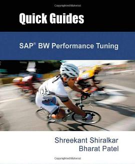 SAP BW Performance Tuning pdf epub mobi 电子书 下载