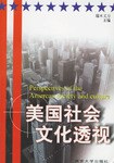 (特价书)美国社会文化透视 pdf epub mobi 电子书 下载
