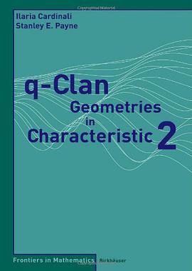 q-Clan Geometries in Characteristic 2特征为2的q 氏族几何学 pdf epub mobi 下载