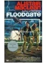 Floodgate pdf epub mobi 电子书 下载
