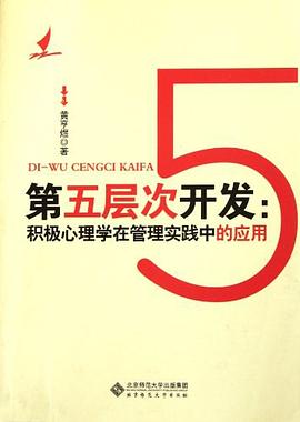 第五层次开发 pdf epub mobi 电子书 下载