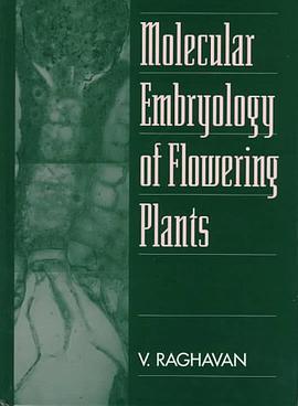 Molecular Embryology of Flowering Plants pdf epub mobi 电子书 下载