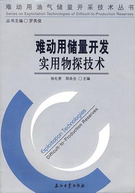 难动用储量开发实用物探技术 pdf epub mobi 下载