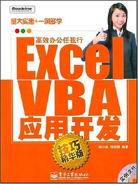 Excel VBA应用开发 pdf epub mobi 电子书 下载