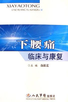 下腰痛临床与康复 pdf epub mobi 电子书 下载