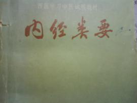 内经类要