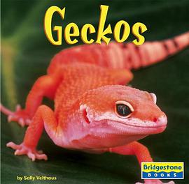 Geckos pdf epub mobi 下载