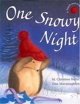 One Snowy Night