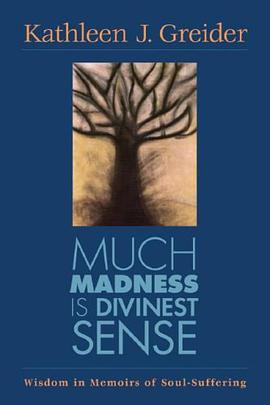 Much Madness Is Divinest Sense pdf epub mobi 电子书 下载