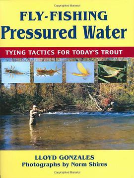 Fly-Fishing Pressured Water pdf epub mobi 下载